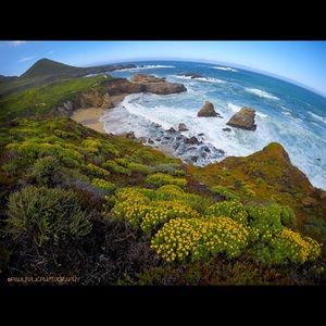 Meet your Posher, Paul